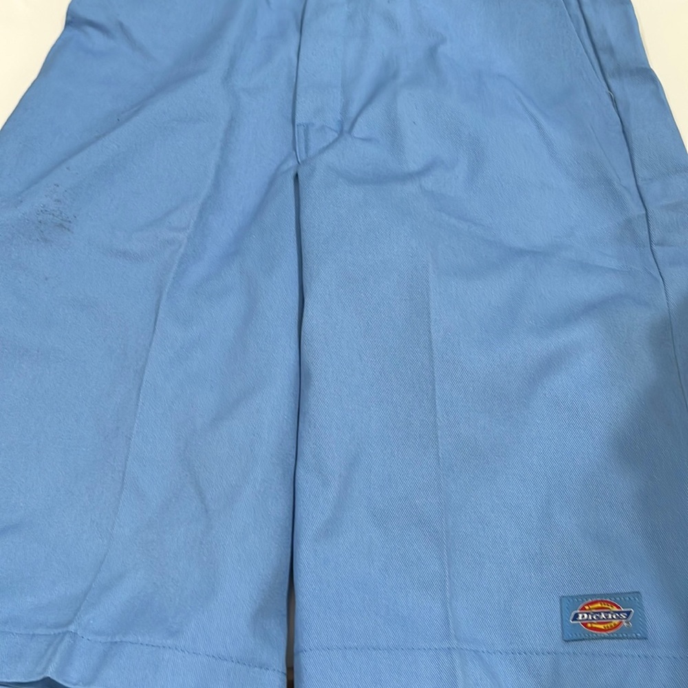 Dickies Light Blue 30x11 Shorts